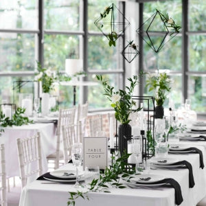 Wedding Decor and Supplies