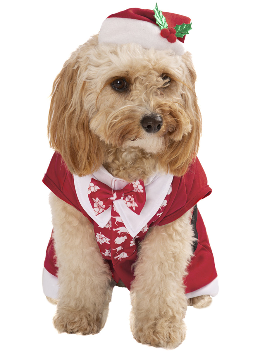 Pet Dog Aussie Christmas Santa Costume - Main Image