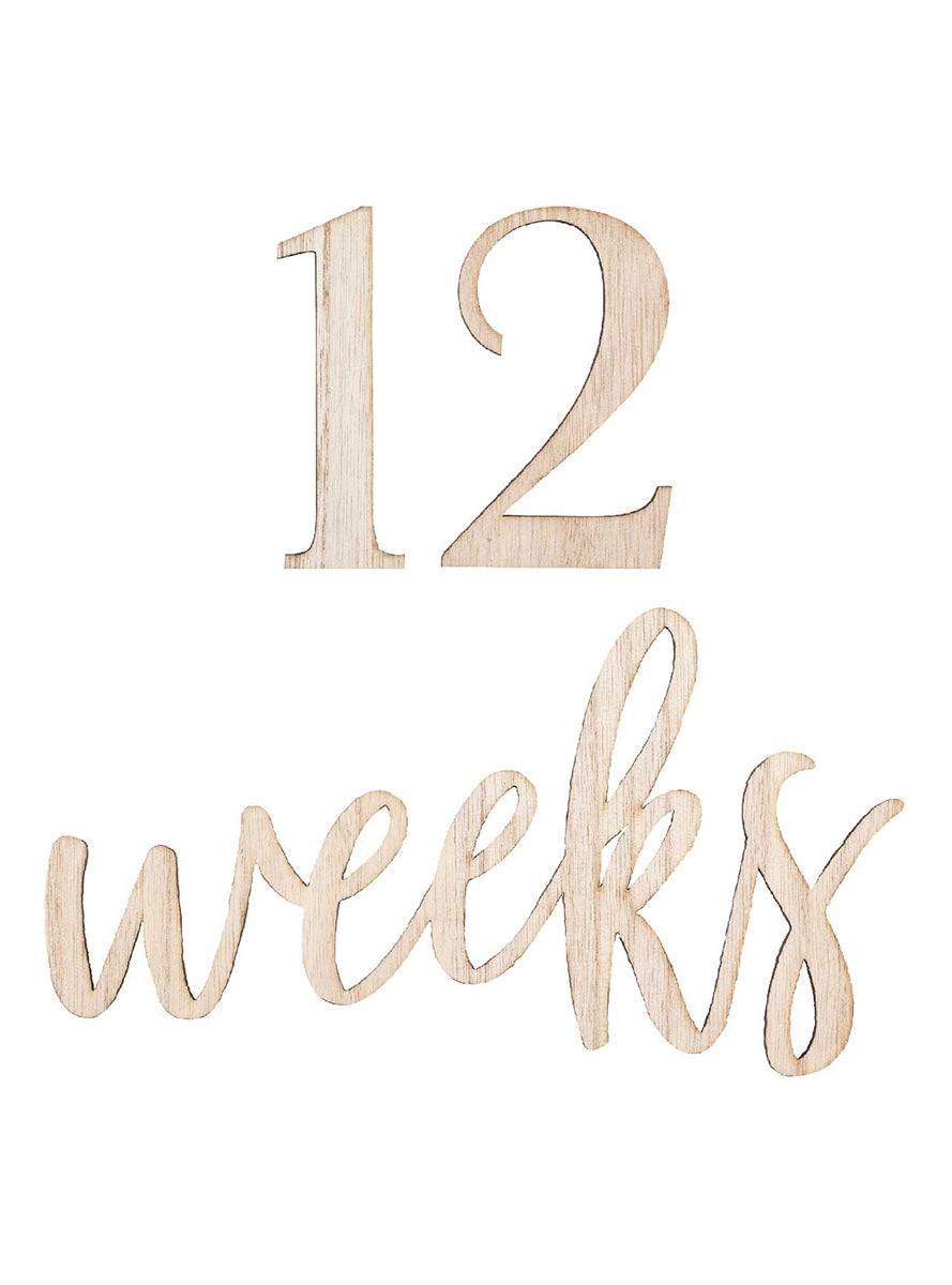 Baby In Bloom Milestone Sign Kit - Main Image