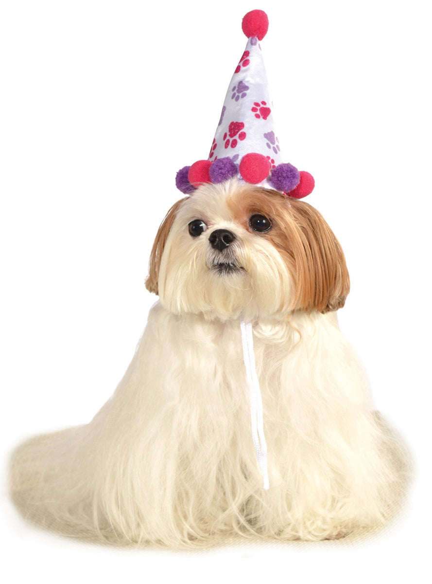 Pink and Purple Paw Print Birthday Girl Dog Hat Accessory - Main Image