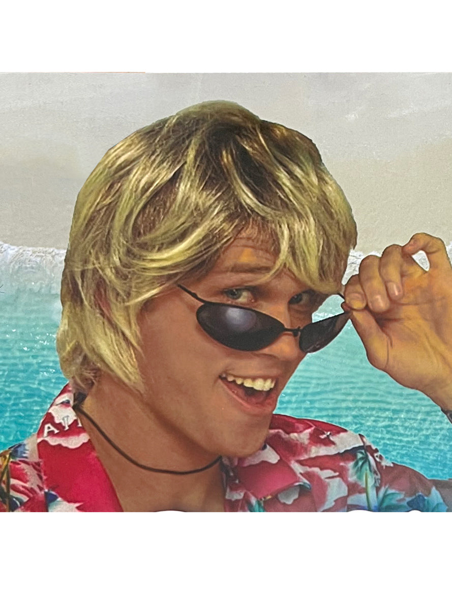Blonde Surfer Dude Mens 80s costume wig - Packaging image