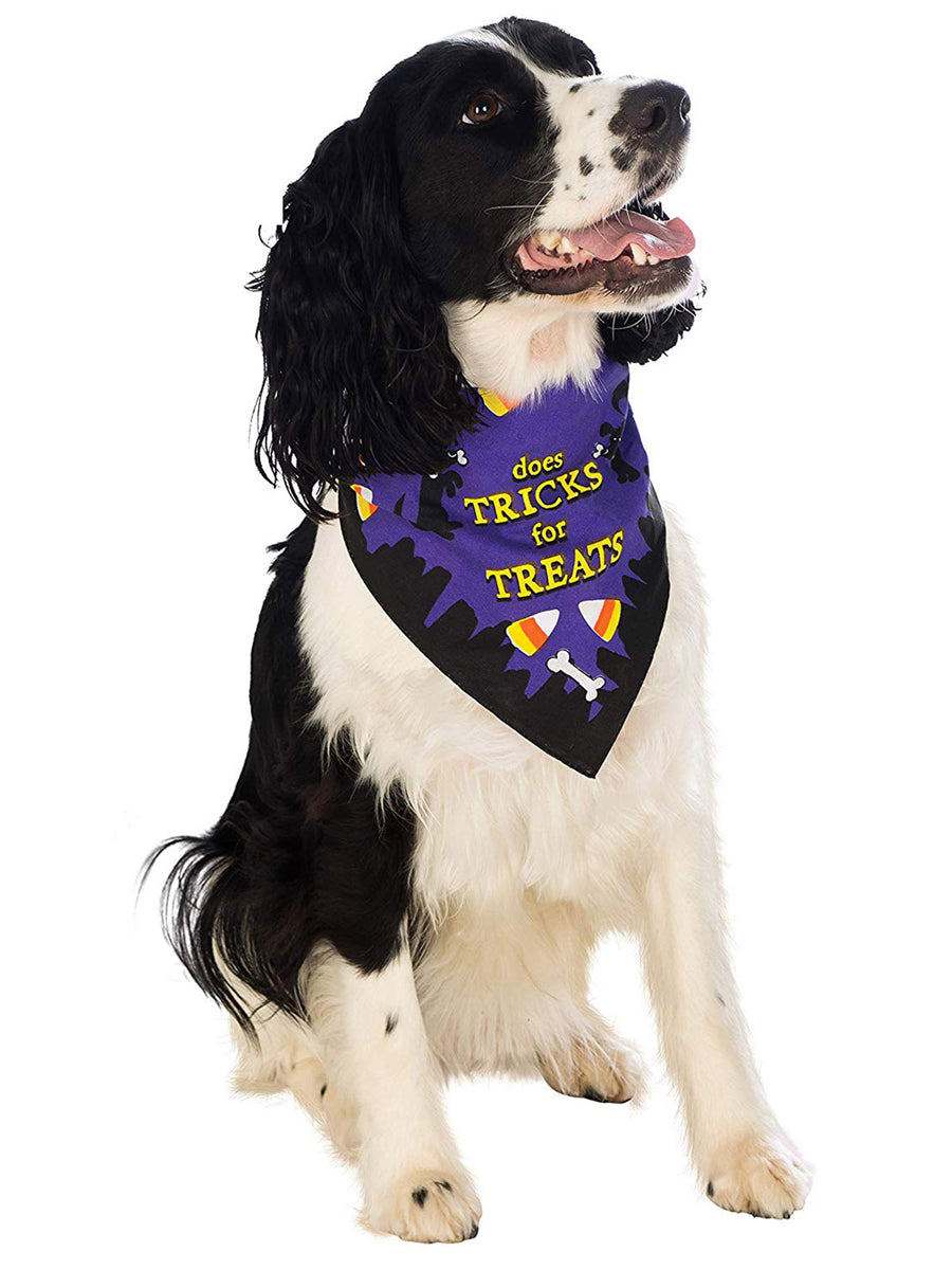 Dog Does Tricks for Treats Pet Bandana - Main Image
