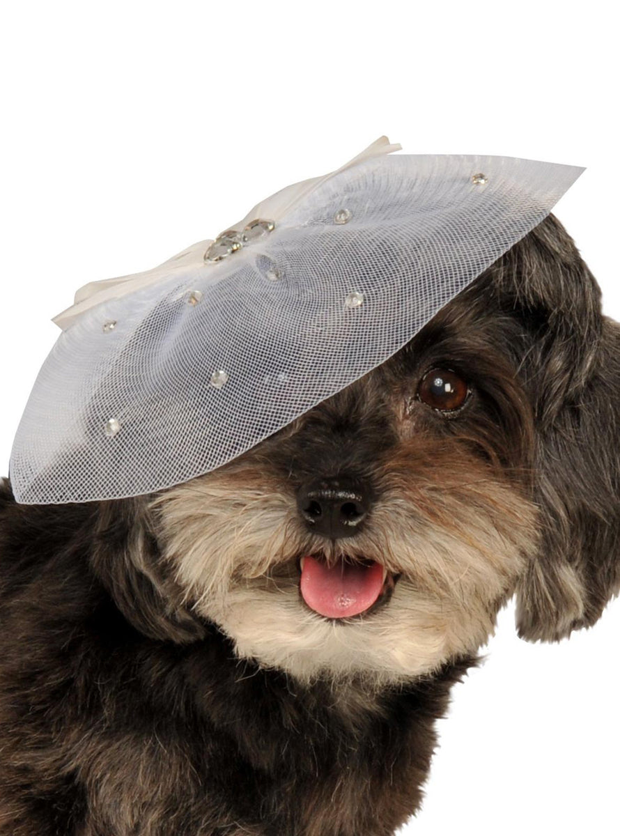 Fancy Rhinestone Embellished Bridal Pet Hat - Alternate Image