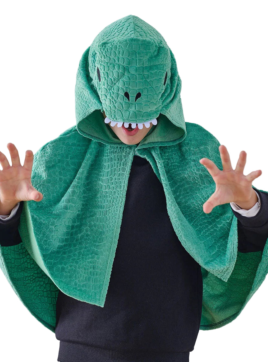 Kids Deluxe Green Dragon Costume Cape Main Image