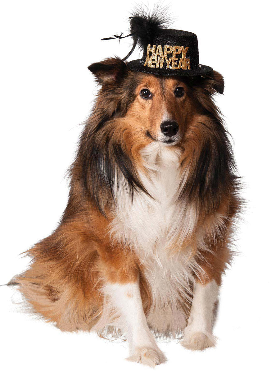Black and Gold Happy New Year Pet Hat - Main Image