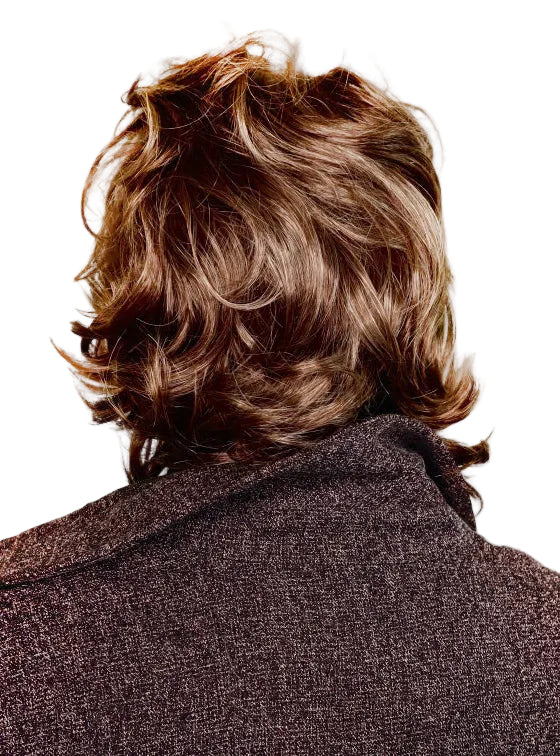 Hobbit Adults Brown Shaggy Layered Costume Wig - Back Image 1