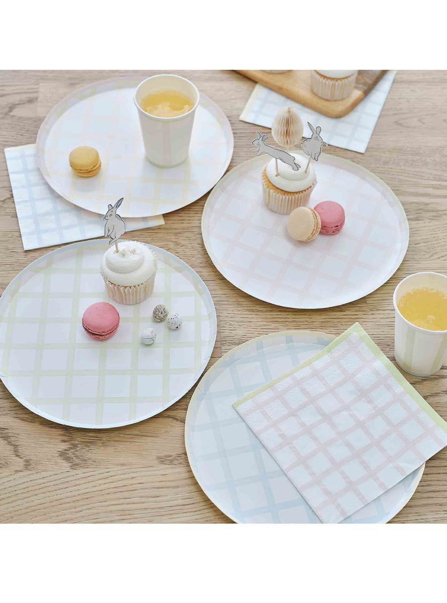 Hop Hop Hooray 8 Pack 23cm Gingham Paper Plates – Lifestyle Image 2