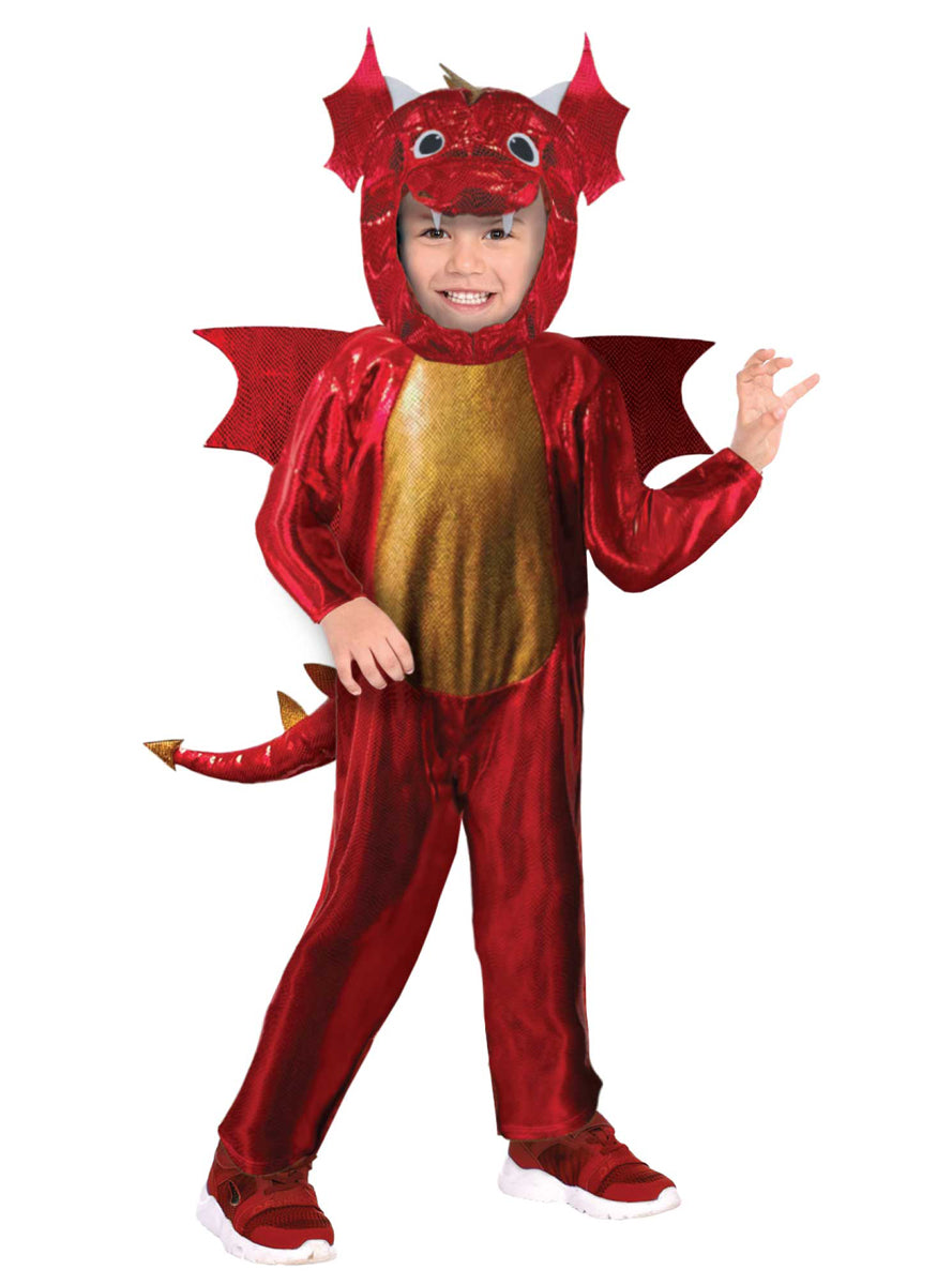 Magical Red Dragon Boys Costume - Main Image