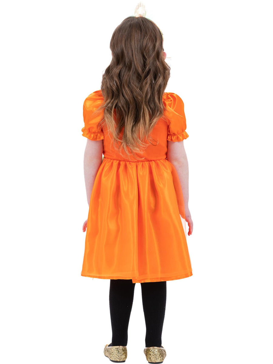 Toddler Girls Orange Halloween Pumpkin Dress - Back Image