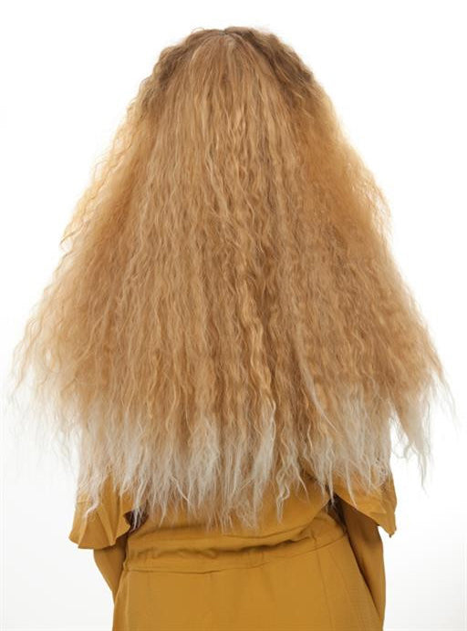 RnB Beauty Womens Long Brown And Blonde Curly Costume Wig - Back Image