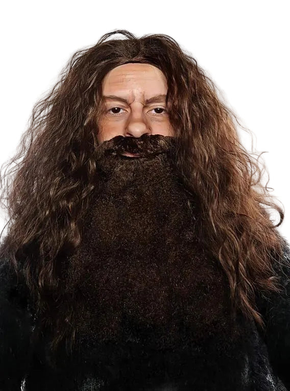Shaggy Brown Hagrid Costume Wig And Beard Set - Main Image