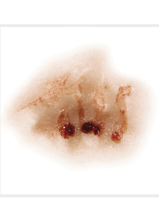 Tinsley Transfers Zombie Nose 3D FX Transfer - Alternative Image 1