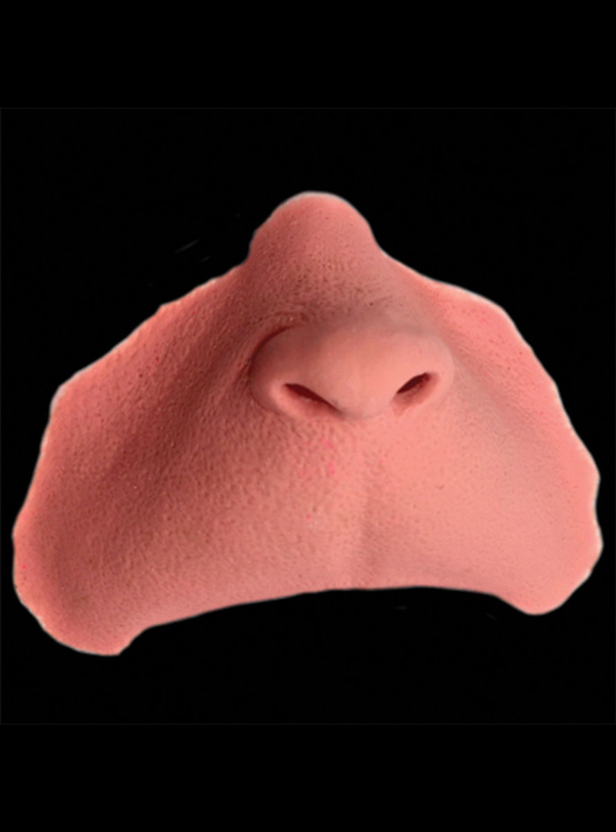 Black Label Latex Elf Nose Prosthetic - Alternative Image 1