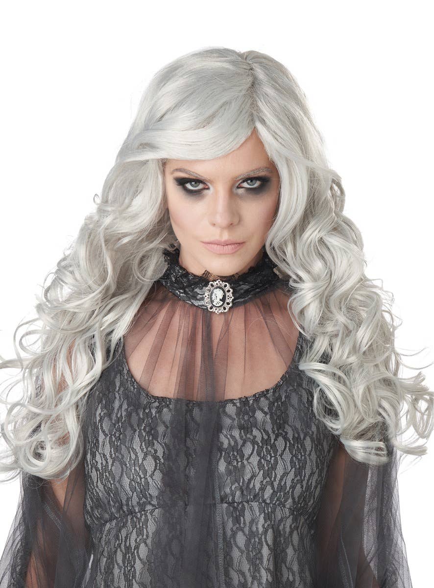 Women's Long Silver Grey Dead Bride Halloween Costume Wig Main Image