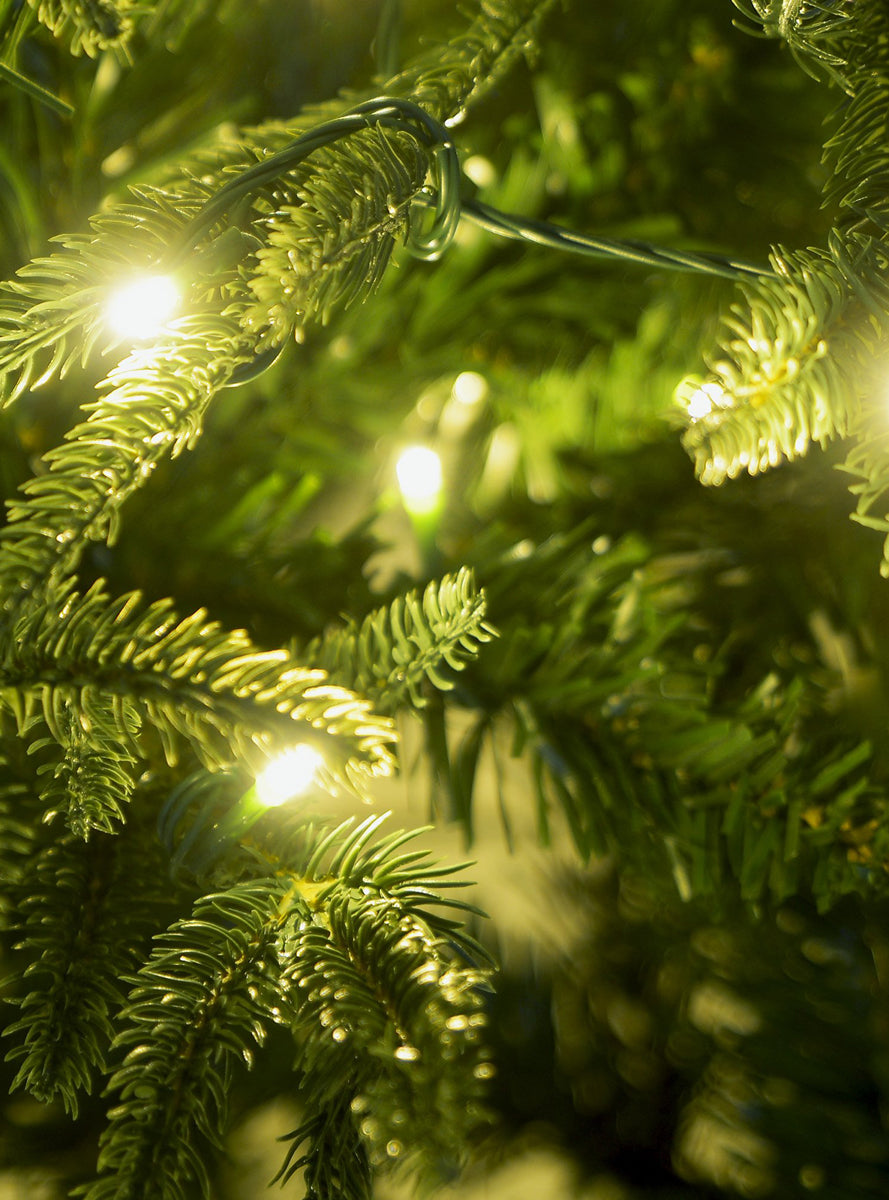 Christabelle Prelit 120cm Everglow Fir Christmas Tree - Close Image 3