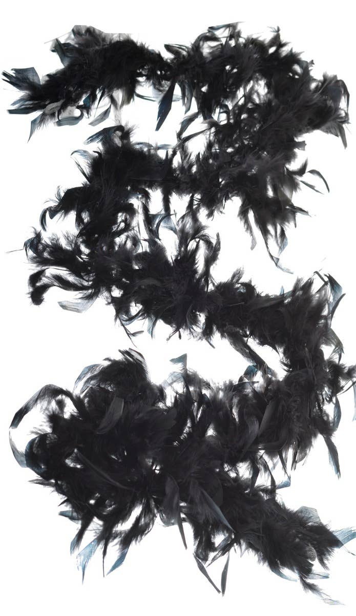 Image of Burlesque Black Feather Boa Costumes Accessory
