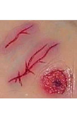 Scars And Wound Latex Halloween Special FX