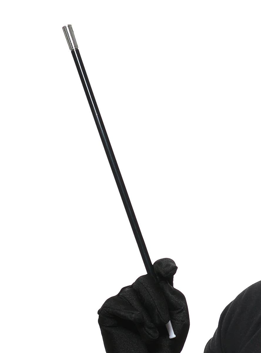 Deluxe 1920s Gatsby 5 Piece Flapper Costume Accessory Set - Cigarette Holder Image