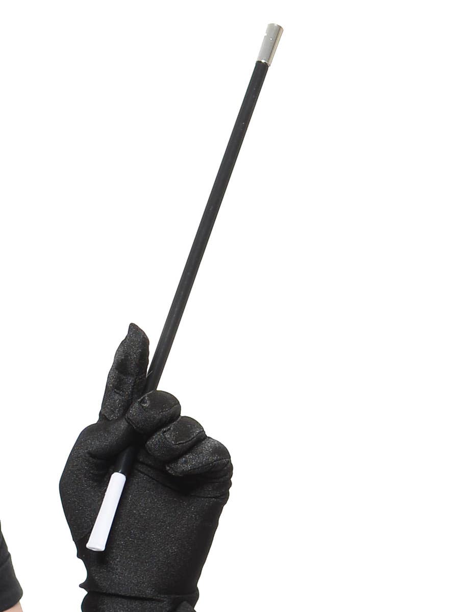 Deluxe 5 Piece 20s Gatsby Flapper Costume Accessory Set - Cigarette Holder Image