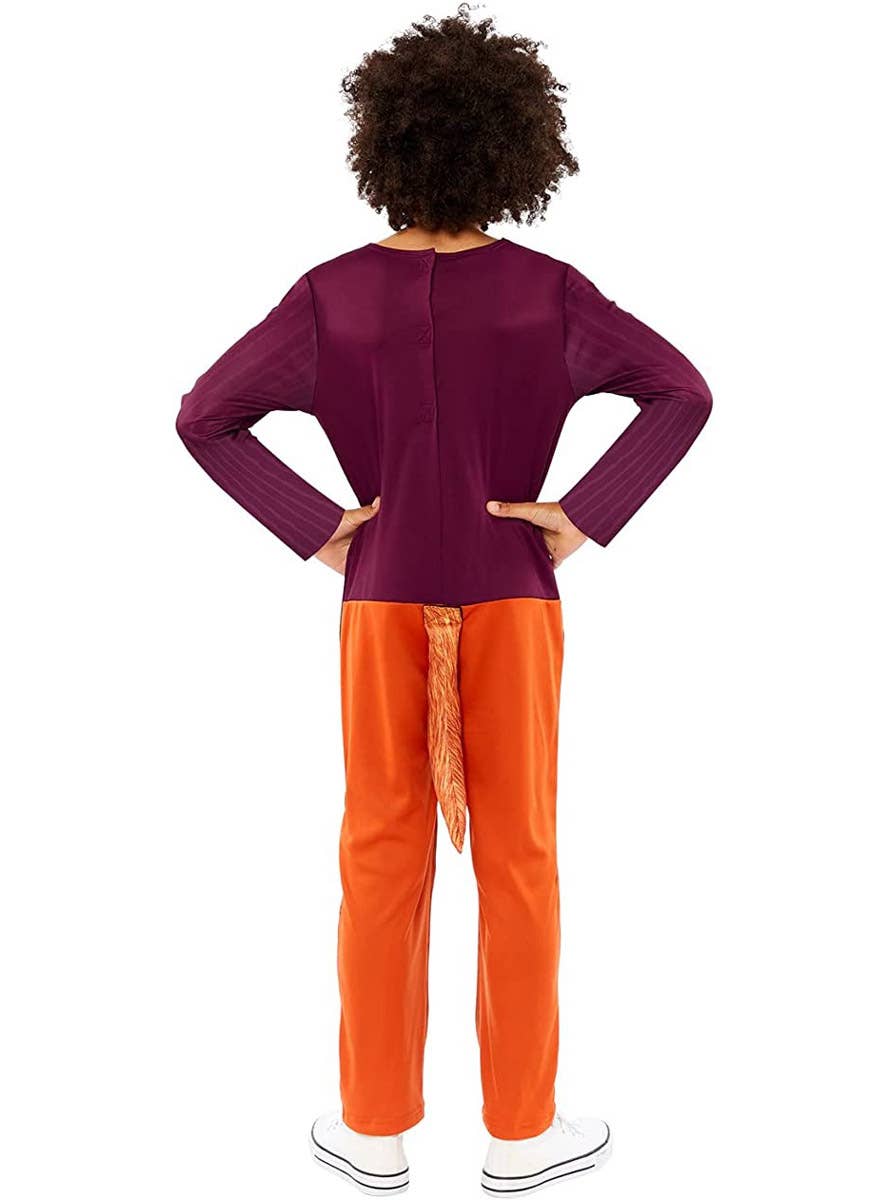 Image of Roald Dahl Fantastic Mr Fox Boy's Book Week Costume - Back View