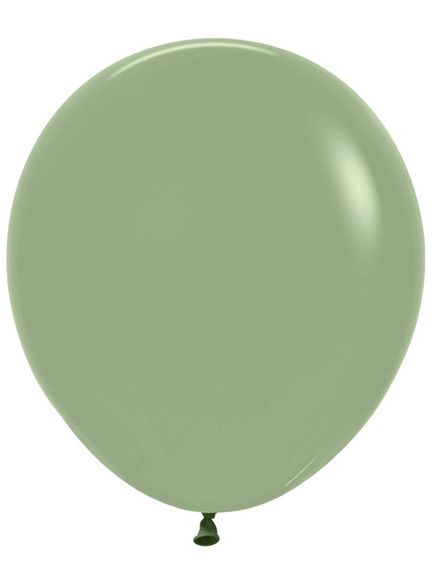 Image of Fashion Eucalyptus Green 6 Pack 45cm Latex Balloons