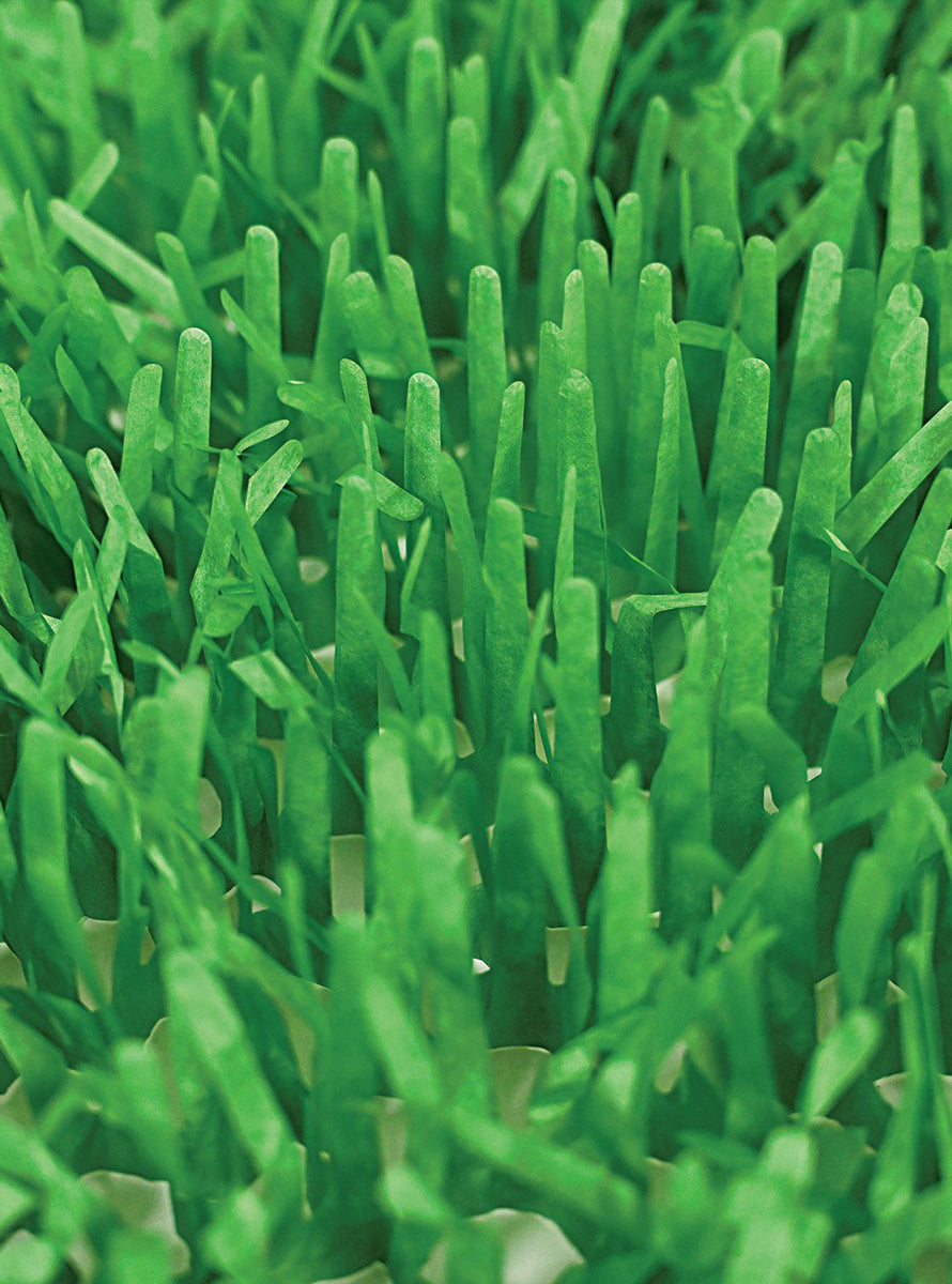 Green Tissue Paper Grass 2 Pack 76cm Matts - Close Image