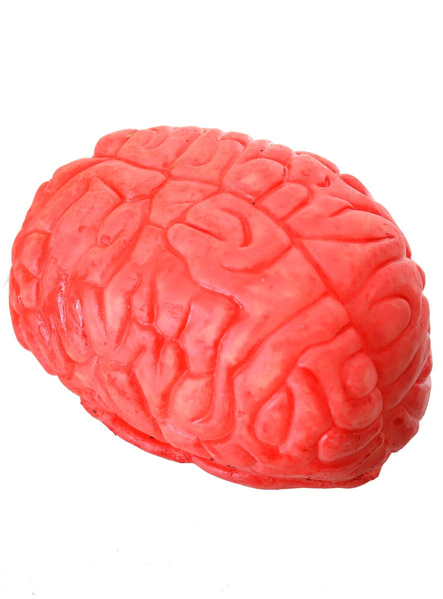 Life Size 15cm Rubber Human Brain Halloween Decoration