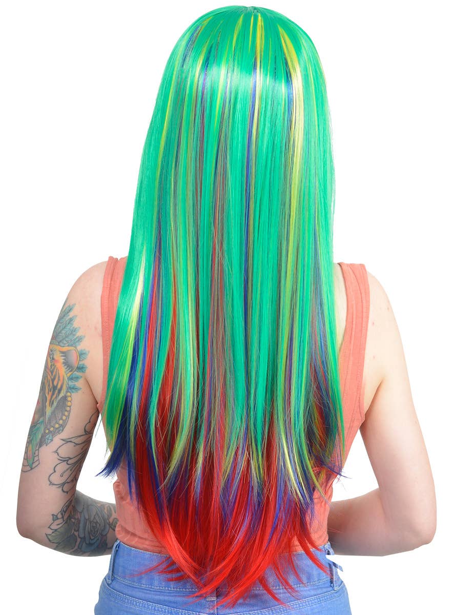 Rainbow Layered Multi Colour Costume Wig Back Image