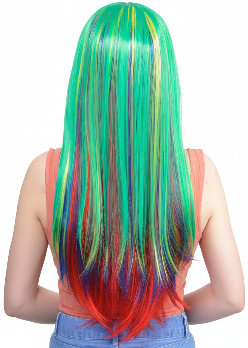 Rainbow Layered Multi Colour Costume Wig Back Image