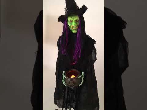 Green Witch Tall Light and Sound Halloween Decoration Prop on a Stand - Video