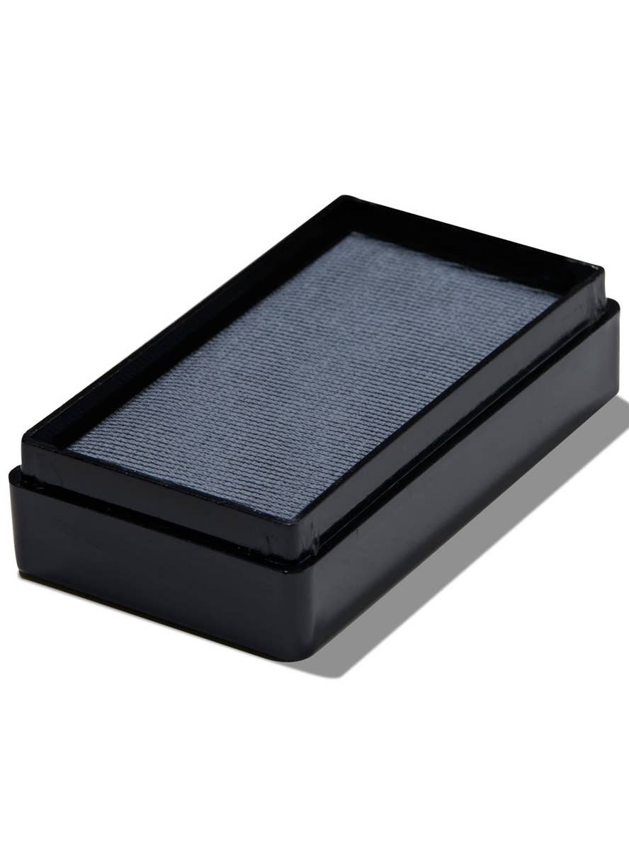 Grey Mini Face and Body Paint Cake - Alternate Image