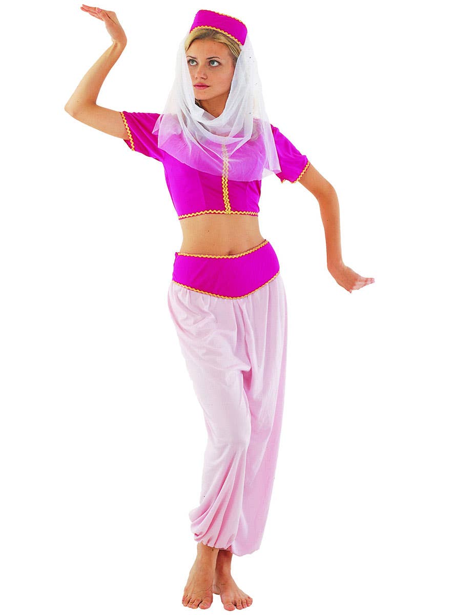 Womens Sexy Pink Harem Girl Dress Up Costume