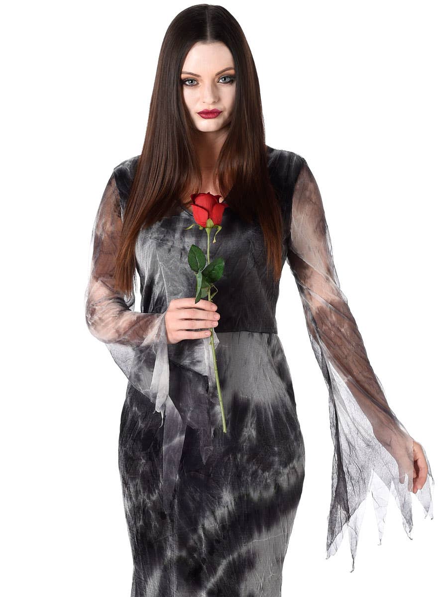 Haunted Lady Women's Vampire Costume Close Image