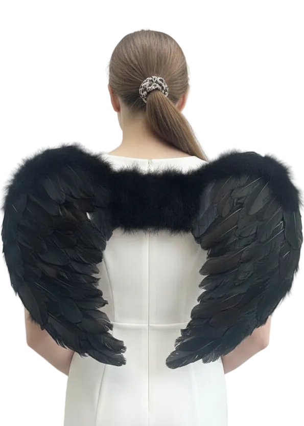 Adults Black Feather 60cm Angel Costume Wings - main image