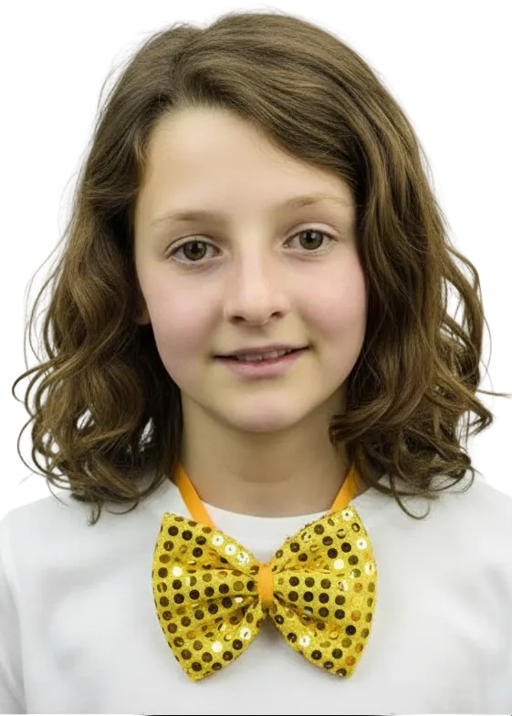 Large Gold Sequined Costume Bow Tie - Main Image