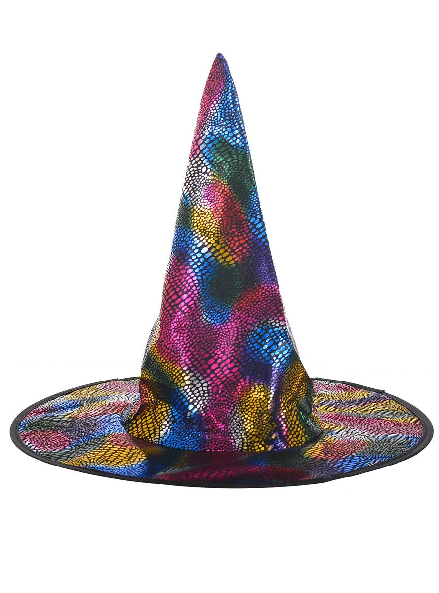 Image of Metallic Rainbow Snake Skin Print Witch Hat Accessory - alternative image