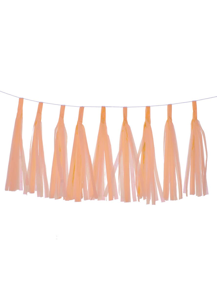 Image of Pastel Matte Peach 9 Pack 35cm Of Decorative Tassels - Main Image