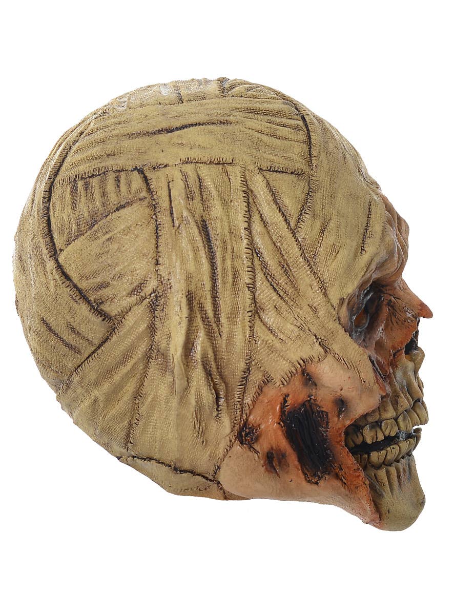 Deluxe Full Head Decaying Mummy Scary Latex Halloween Mask - Side View Image