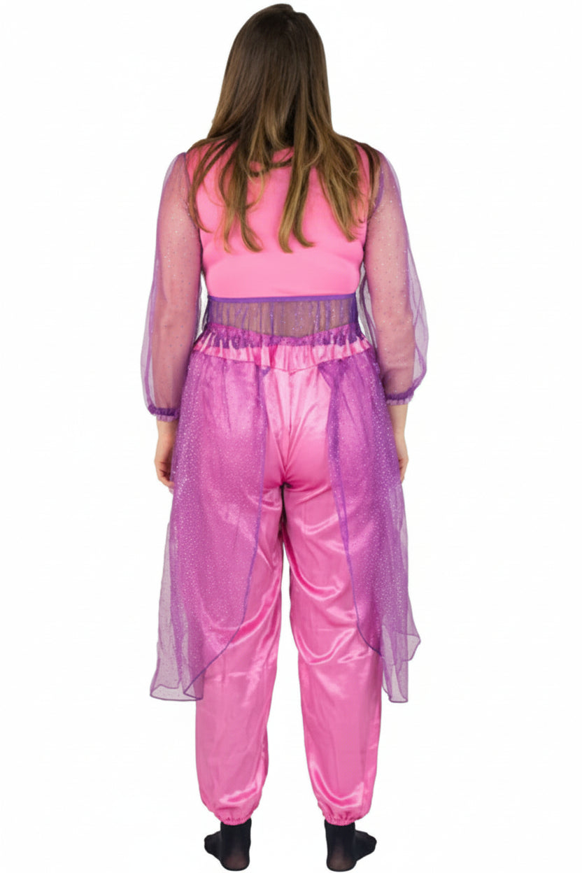 Womens Pink Belly Dancer Costume Back Image