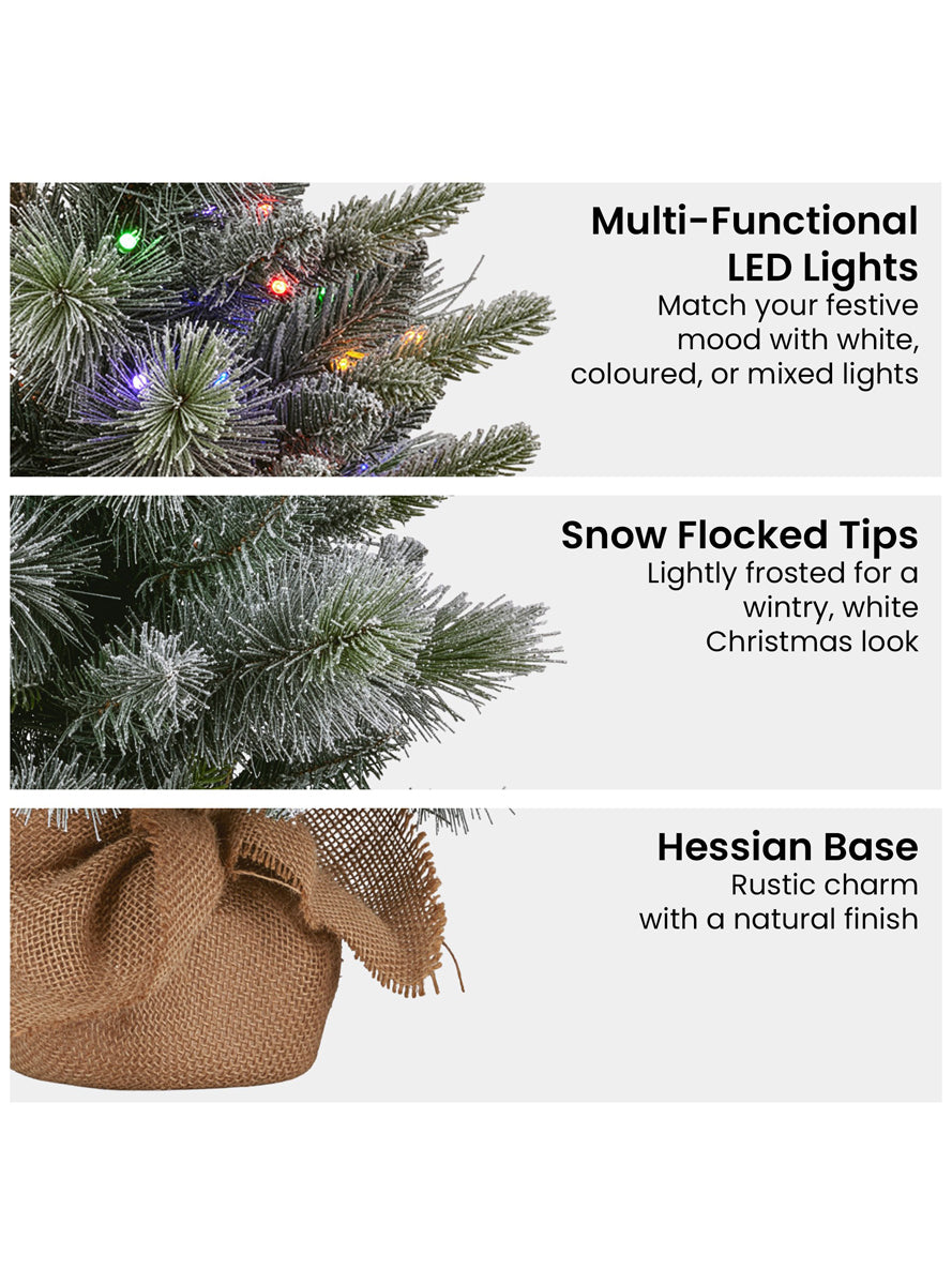 Prelit Snowy Stamford Spruce 61cm Tabletop Christmas Tree Decoration - Info Image 2