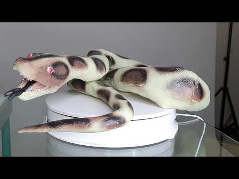 A video showing this large plastic snake prop on a spinning display stand.