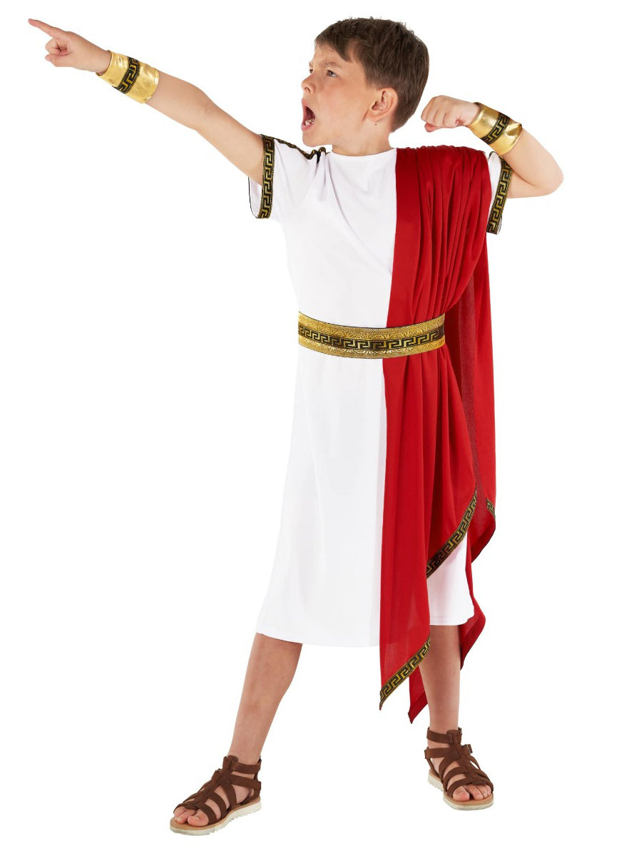 Roman Toga Teen Boys Ancient Times Costume - Alternative Image 2