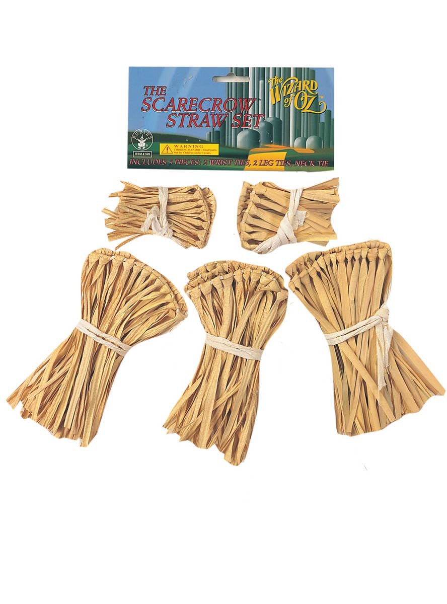 Scarecrow Wizard of Oz Straw Accessory Set