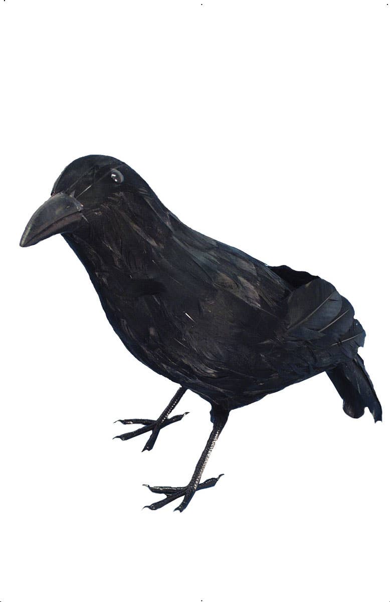 Black Crow Halloween Horror Party Decoration