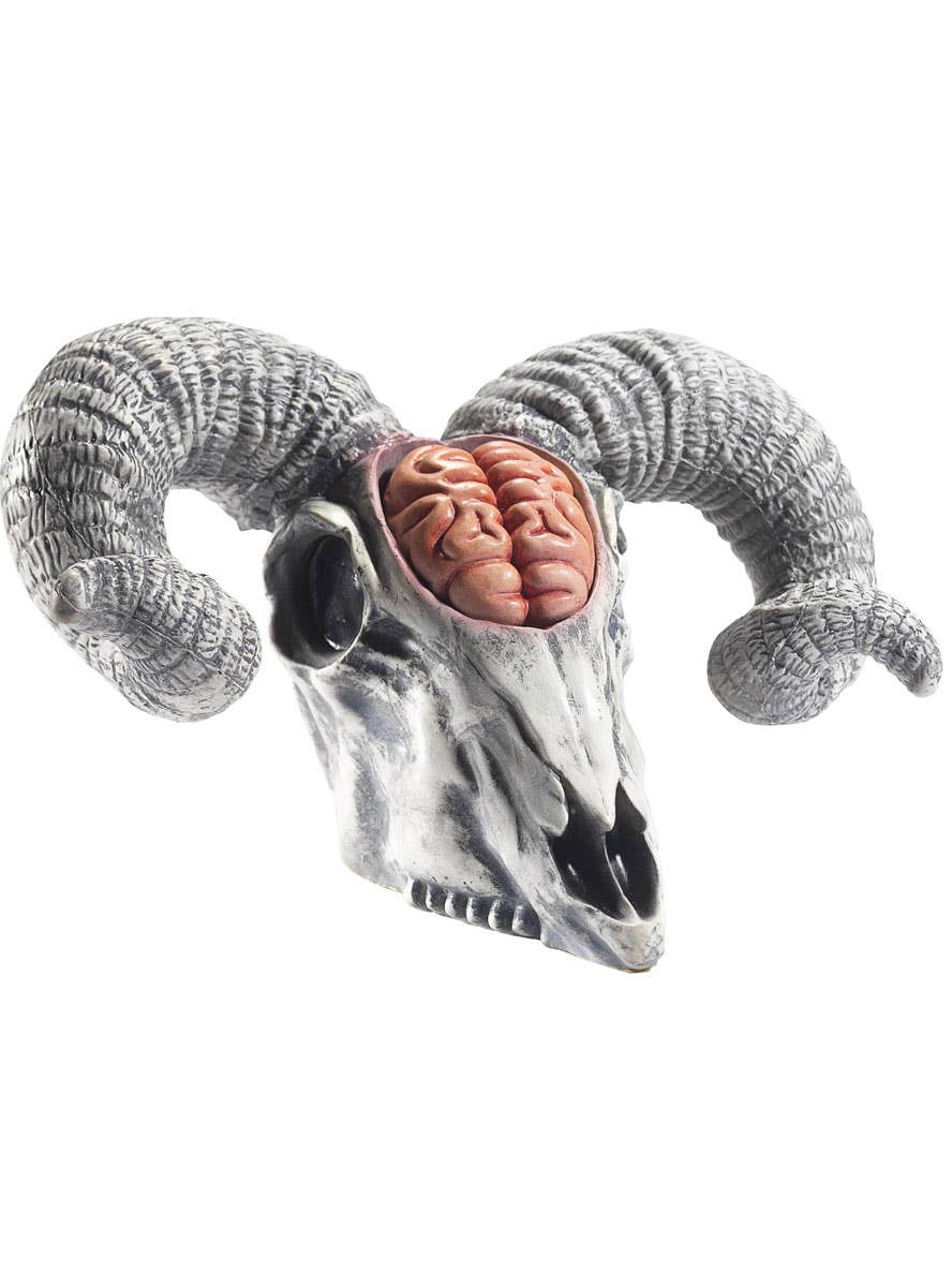 Ram Head Latex Skull Decoration with Exposed Brain