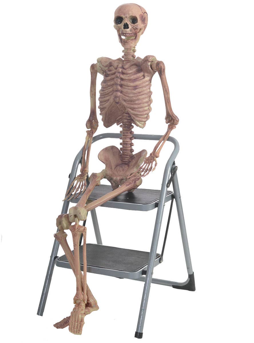Hanging and Pose-able Life Size Skeleton Halloween Prop View 3