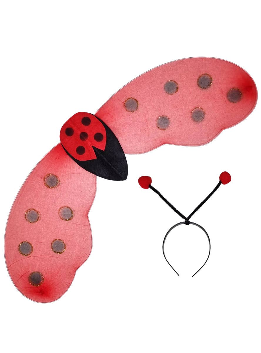Red and Black Ladybug Wings and Antennae Accessory Set - Alternate Image
