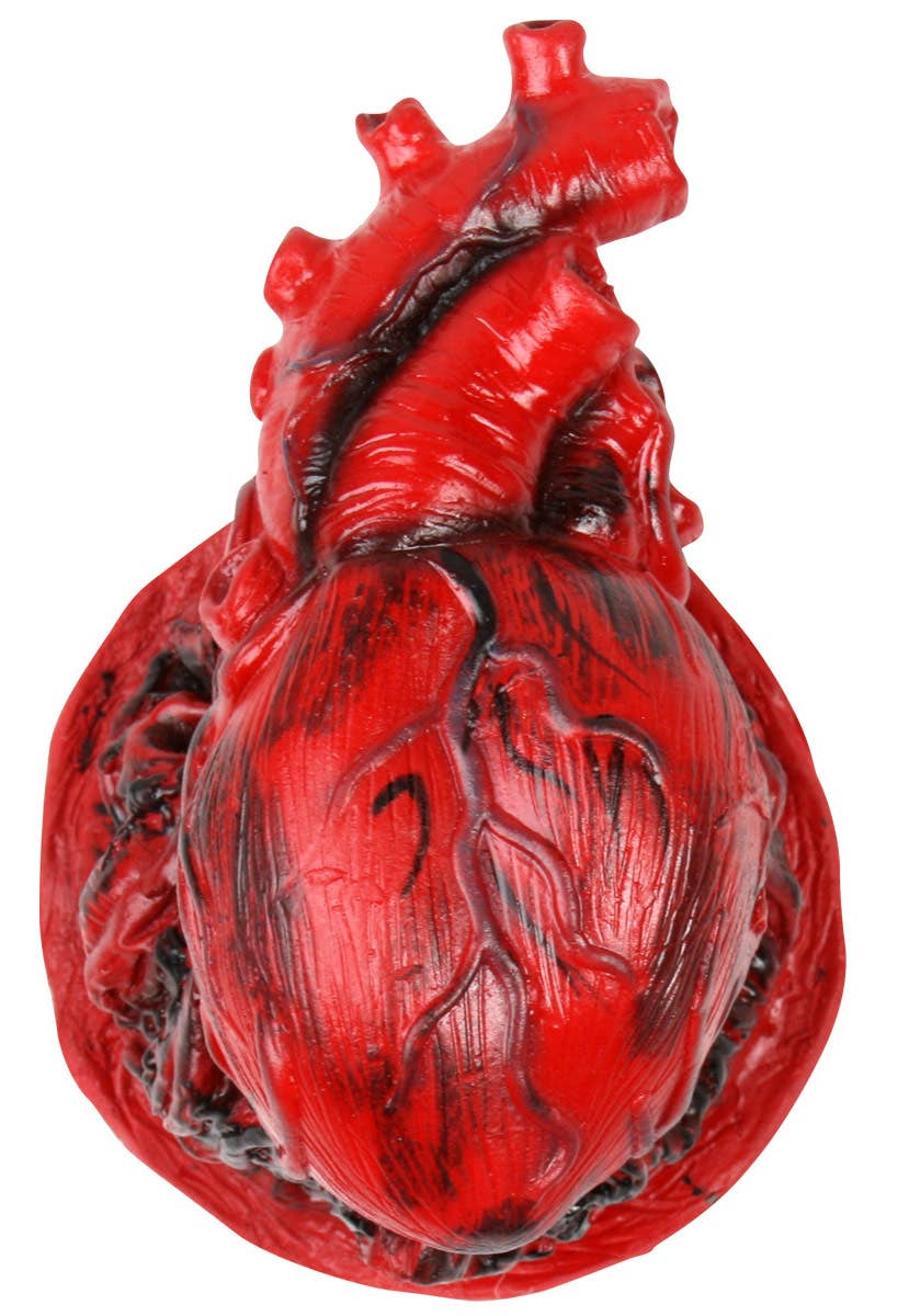 Realistic Red Heart Costume Prop with Heartbeat and Sound