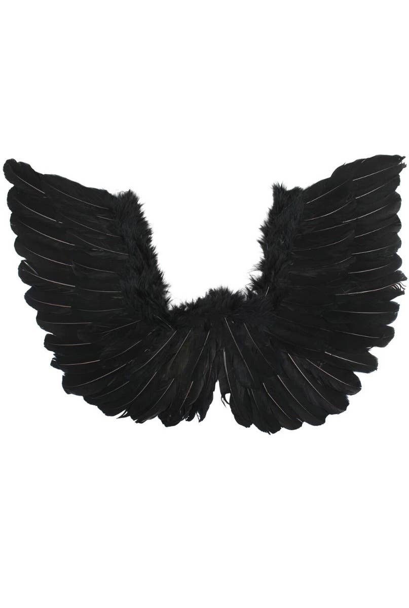 Small Black Feather Angel Wings with Silver Tinsel Alternative Image