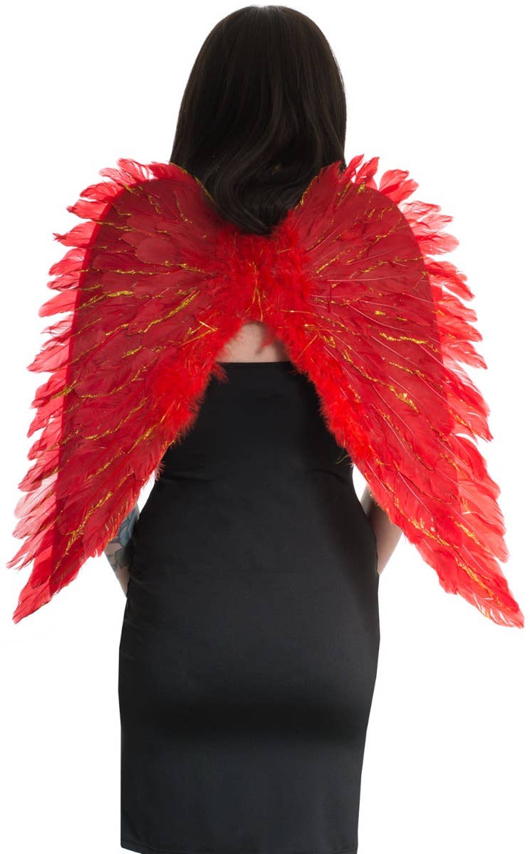 Red and Gold Feather Costume Accessory Wings - Main Image